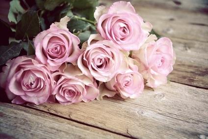Bedeutung von rosa Rosen