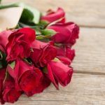 Bedeutung von roten Rosen