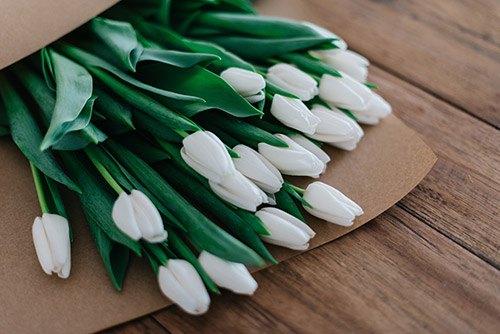 Bedeutung von Tulpen